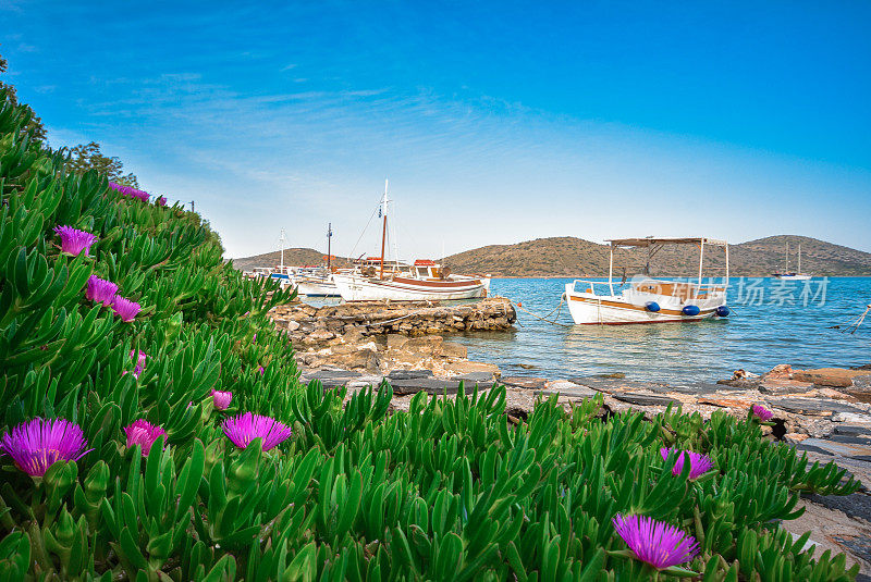 在希腊克里特岛史宾纳隆加附近著名的名人村Elounda海湾的热带水域，五颜六色的植物与木制渔船和游艇停泊在一起。