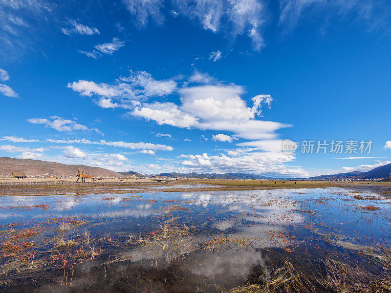 中国云南省香格里拉县，美丽的纳帕湖和水中云雾的景观。