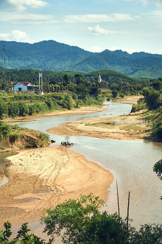 一群水牛在越南丰年喀邦国家公园一条清澈的河里的泥地上留下脚印。以大山为背景。