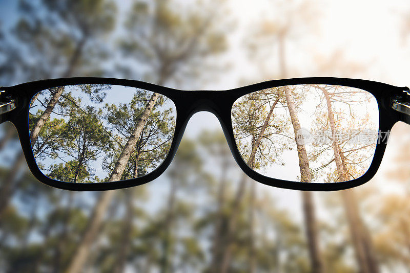 聚焦森林的眼镜