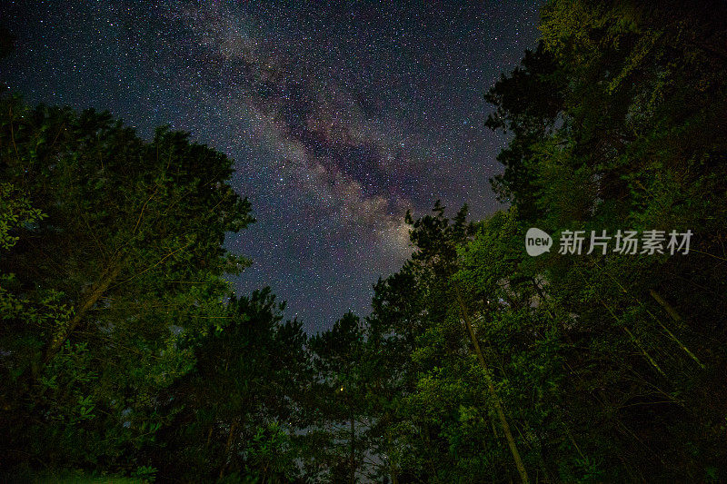 银河夜森林