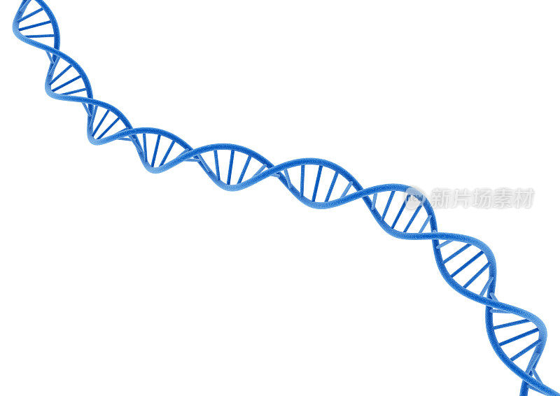 从白色背景中分离出的DNA。