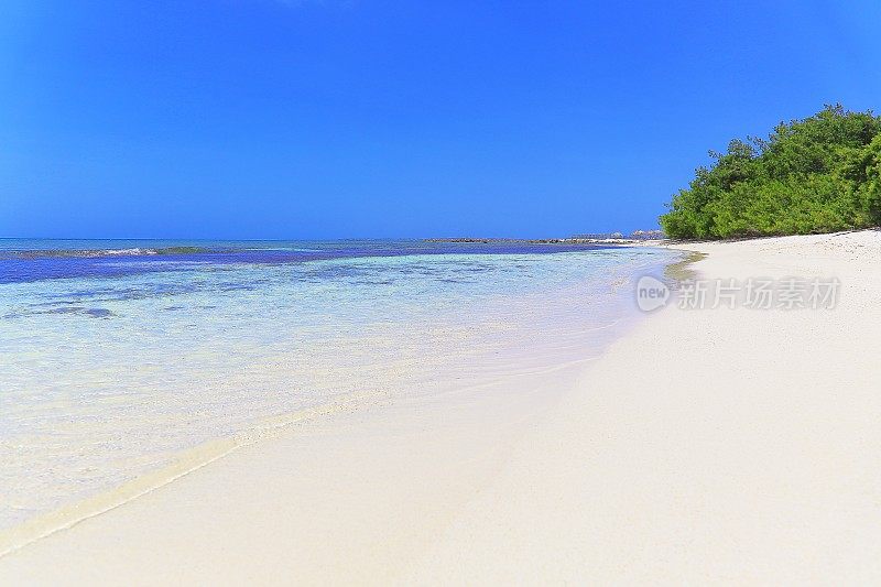 沉思:绿松石自然游泳池，海滩与热带棕榈树-加勒比海