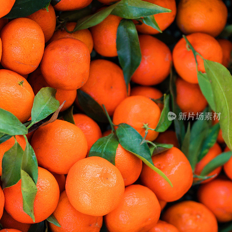 柑橘类水果的背景。新鲜的柑橘(橘子，小柑橘，柑桔)和绿色的叶子。收获的概念。顶视图,n