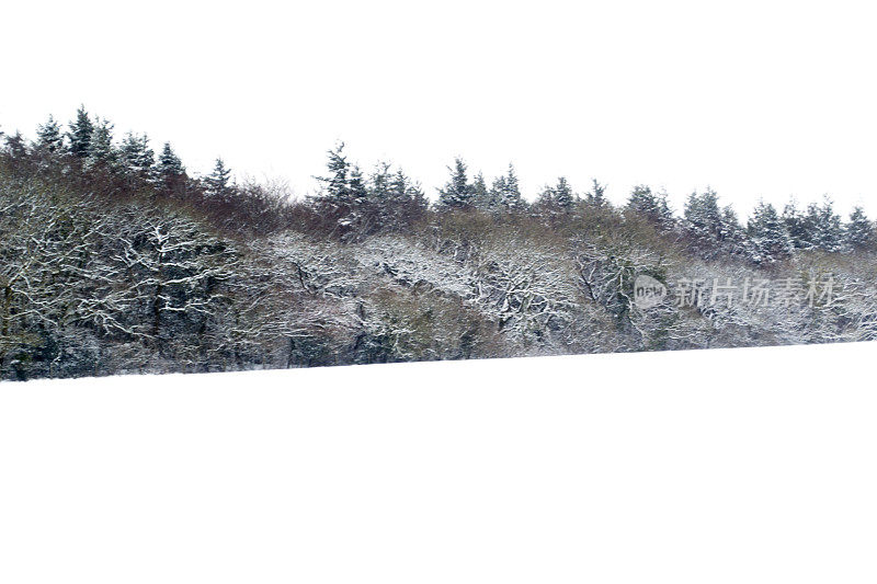 白雪覆盖的田野和森林