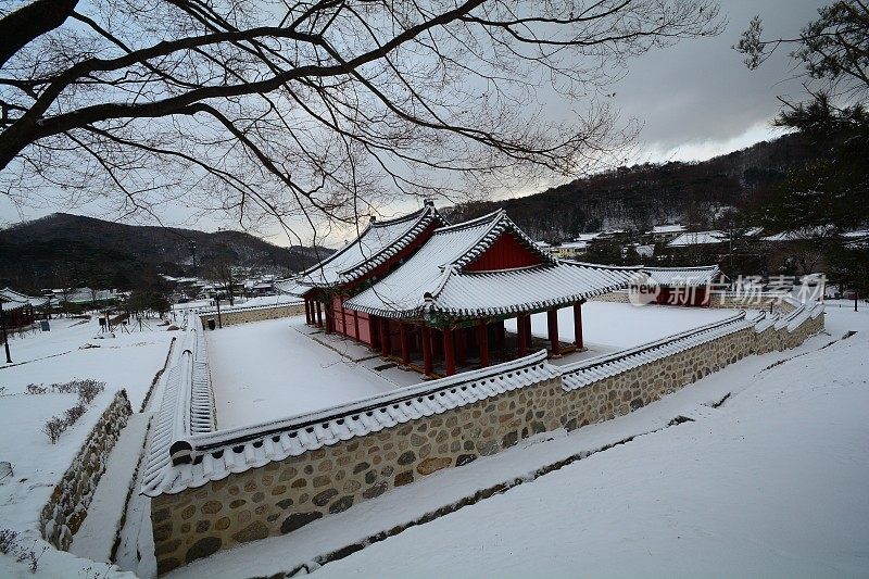 VD700南山雪上日