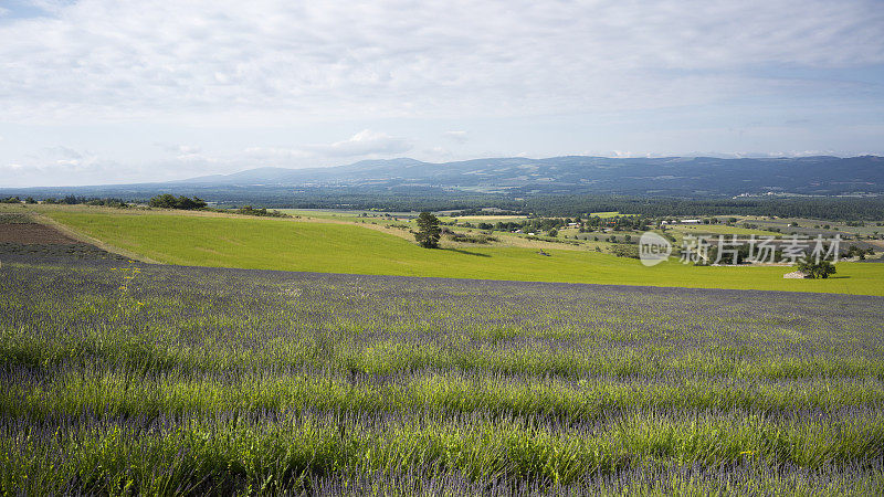 Provençal风景，法国南部