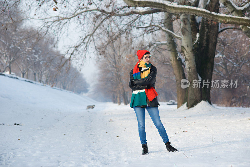 一个女人在冬天遛西伯利亚哈士奇