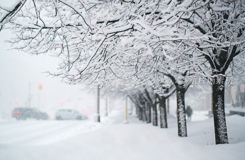 暴风雪给渥太华降下了8英寸的雪