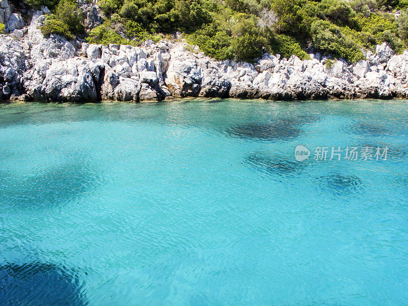 布满松树的岩石海岸