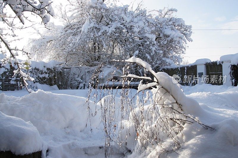 2019年1月暴风雪后的花园和池塘。巴伐利亚,德国。