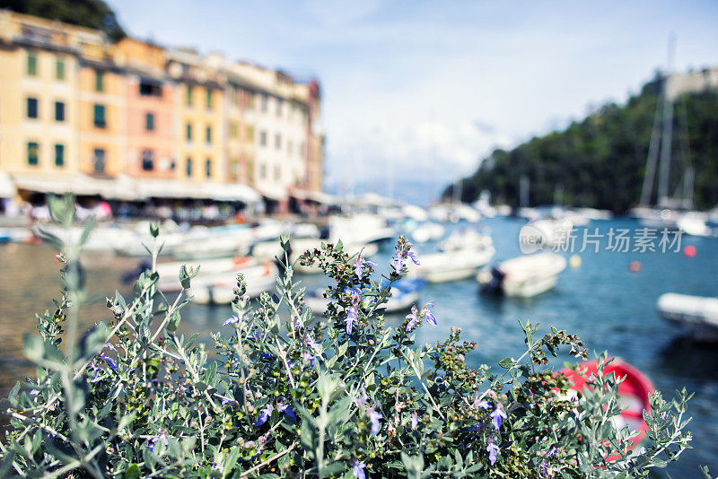 Portofino,意大利利古利亚