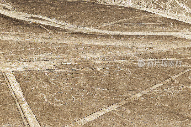 秘鲁纳斯卡沙漠纳斯卡线的鹦鹉地形图