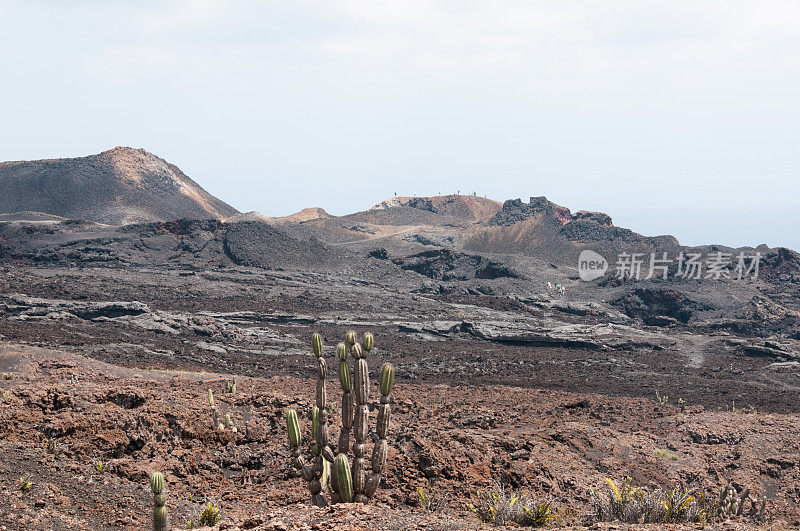 塞拉暗线火山