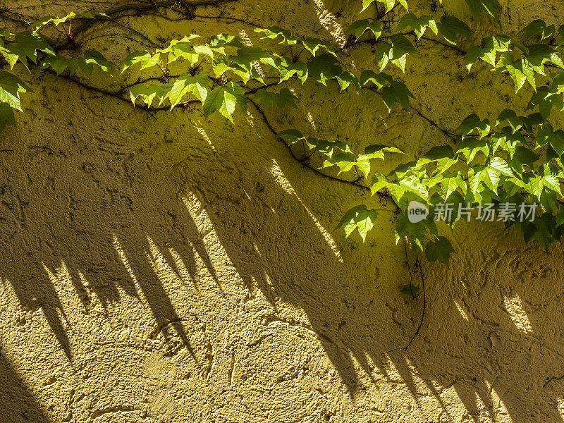 奥地利萨尔兹卡默古特风景区