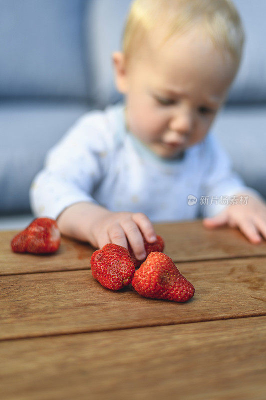高加索男婴在室外研究草莓的形状和质地