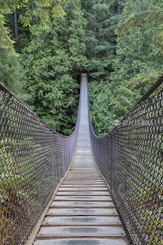 加拿大北温哥华的林恩峡谷悬索桥