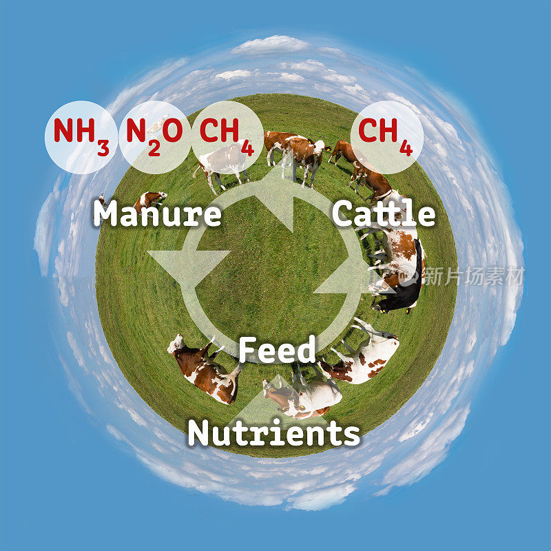 氮牛温室气体污染循环