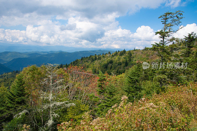 蓝岭山脉