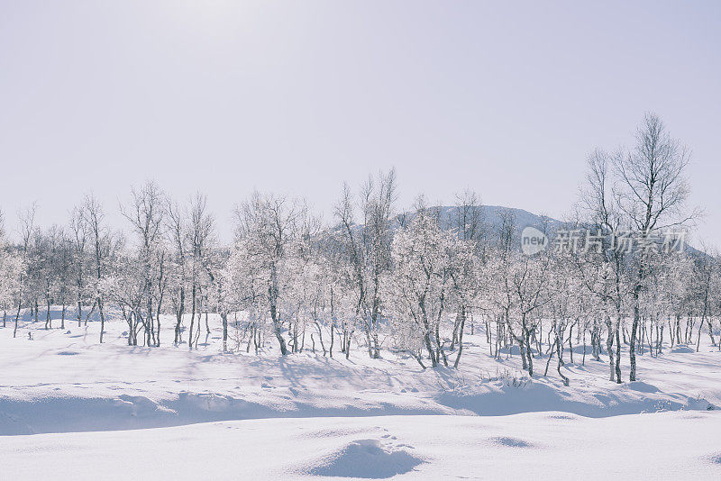 挪威森加岛冬日的雪景