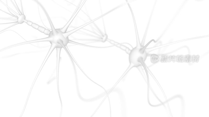 白色的神经元细胞