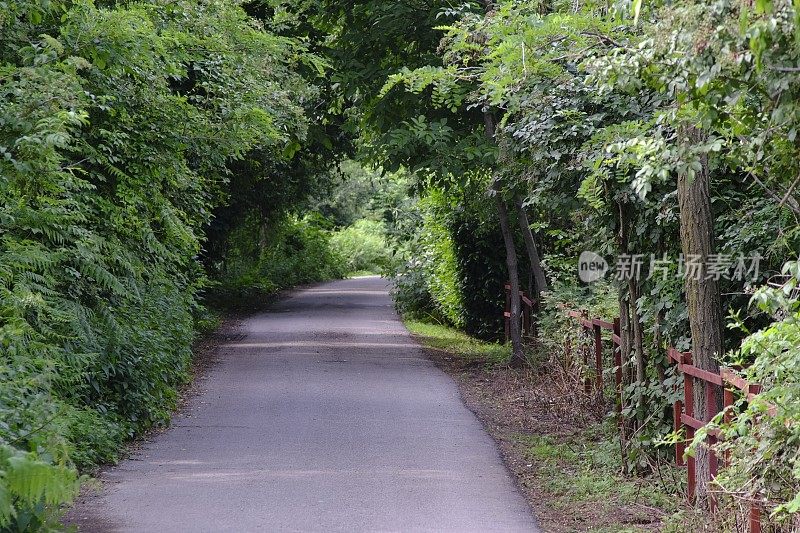 乡间小路