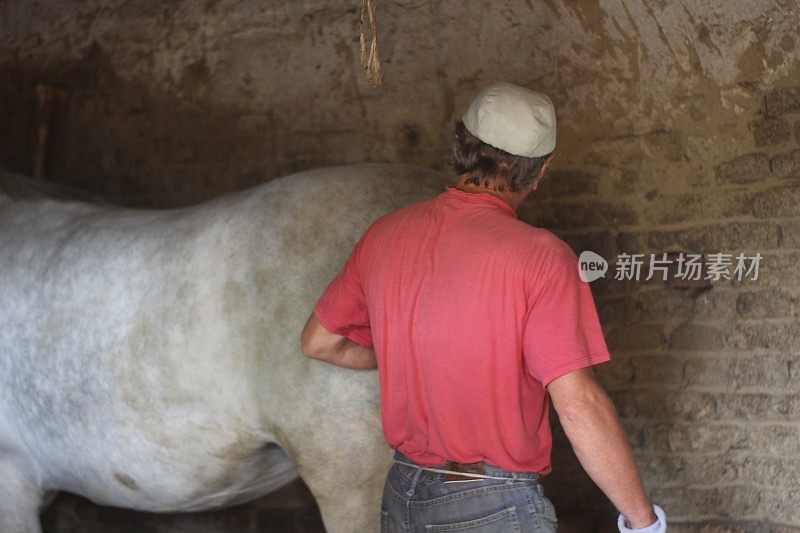 成熟的男人照顾干净的马