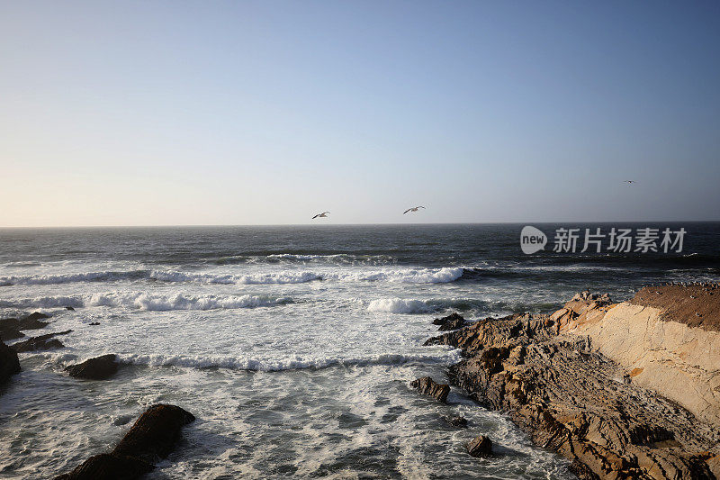 美丽的海洋场景