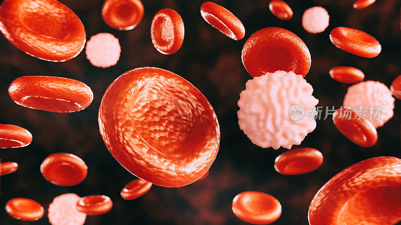 红色的血细胞和白色的血细胞在深色的背景上