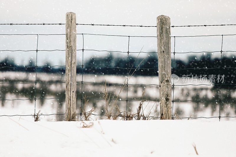 雪中的栅栏