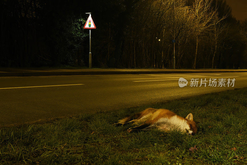 赤狐公路杀手