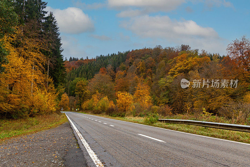 前方的道路，理念的抱负和运动的背景，通向空旷的道路的森林