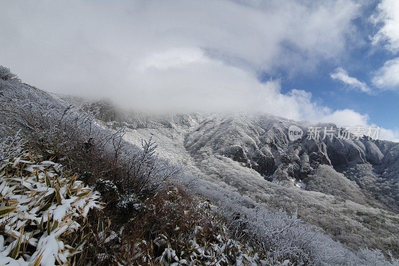 济州岛的第一场雪