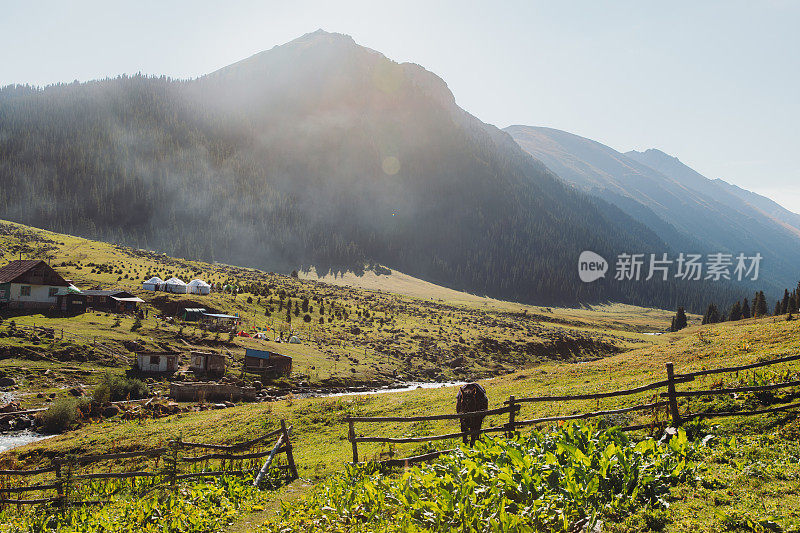 吉尔吉斯斯坦藏着蒙古包的小山村的夏日日出风景优美