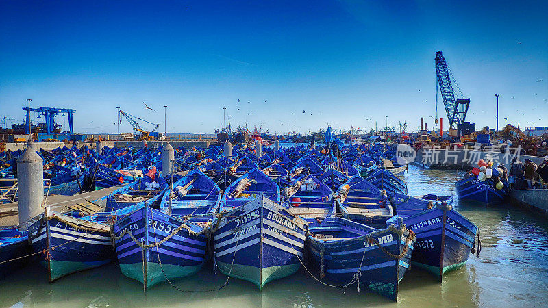 摩洛哥老城Essaouira的港口，蓝色的渔船