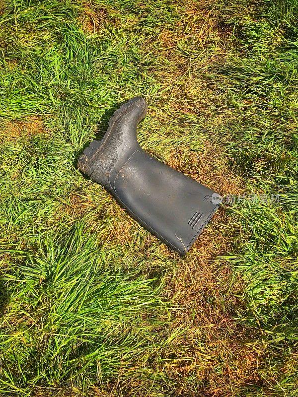 威灵顿靴子躺在草地上