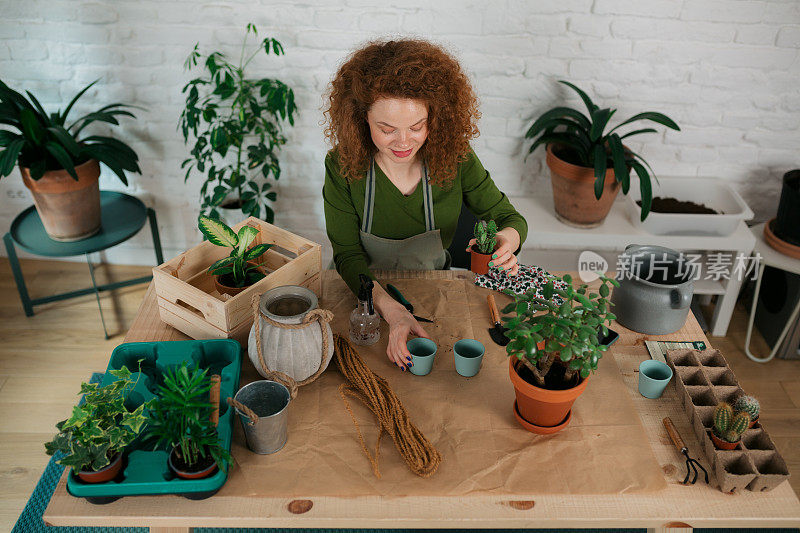 高角度的一个年轻的白人妇女照顾她的室内植物照顾