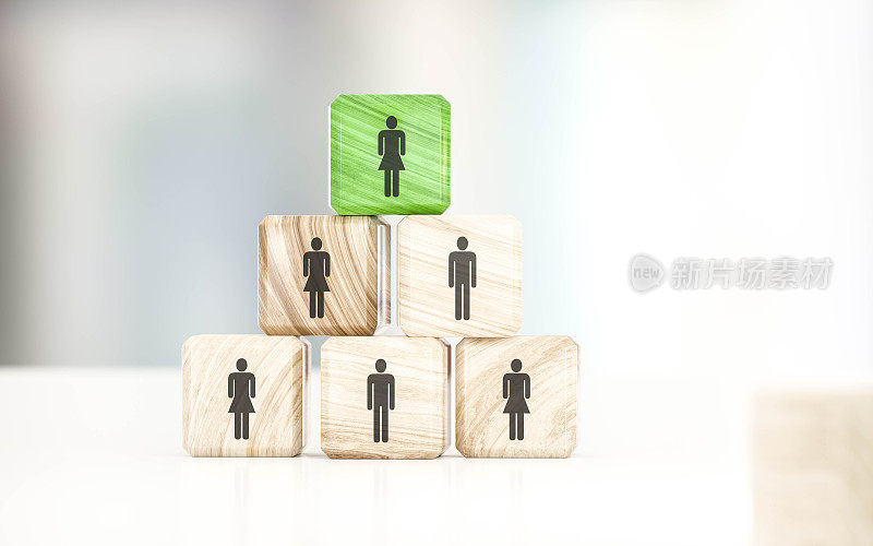 女性领导概念可视化木砖三维渲染插图