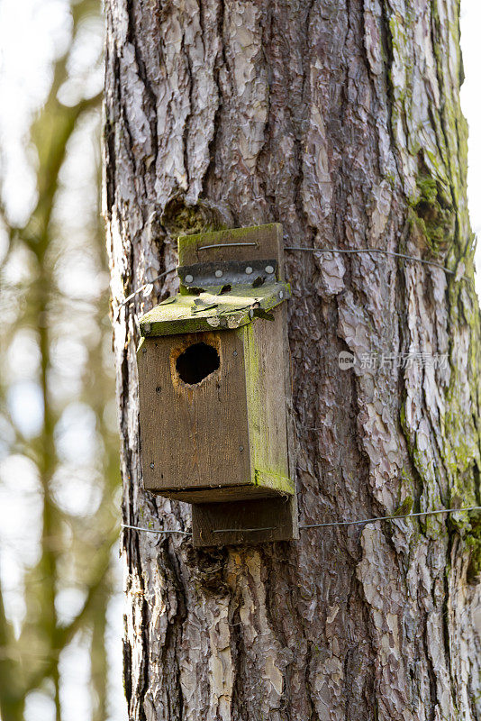 入口洞口周围有啄木鸟标记的筑巢盒