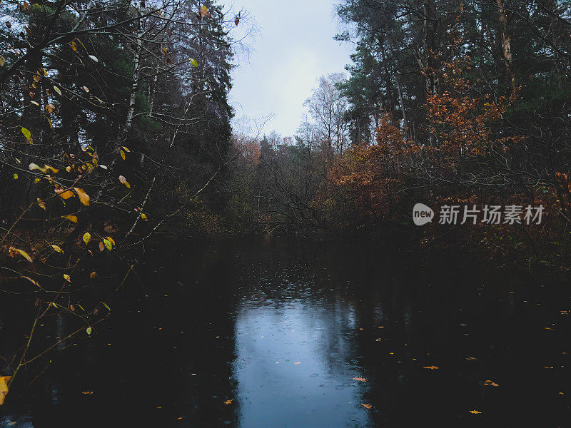 在冬天的夜晚，在潮湿的天气里，森林中央的一个小湖。