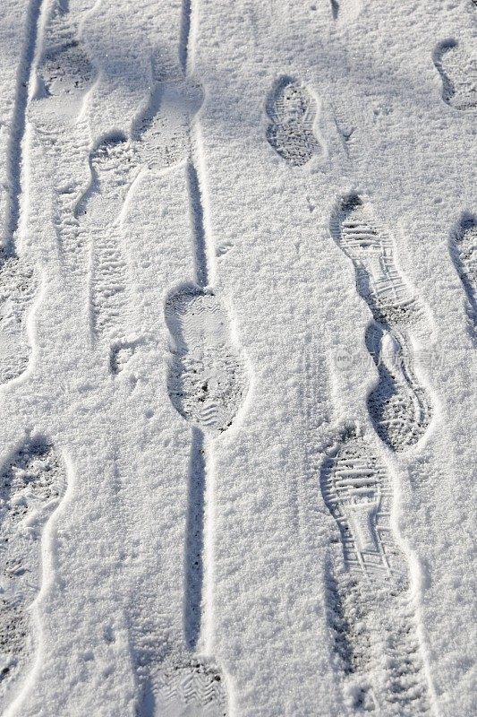 雪地里人行道上的脚印