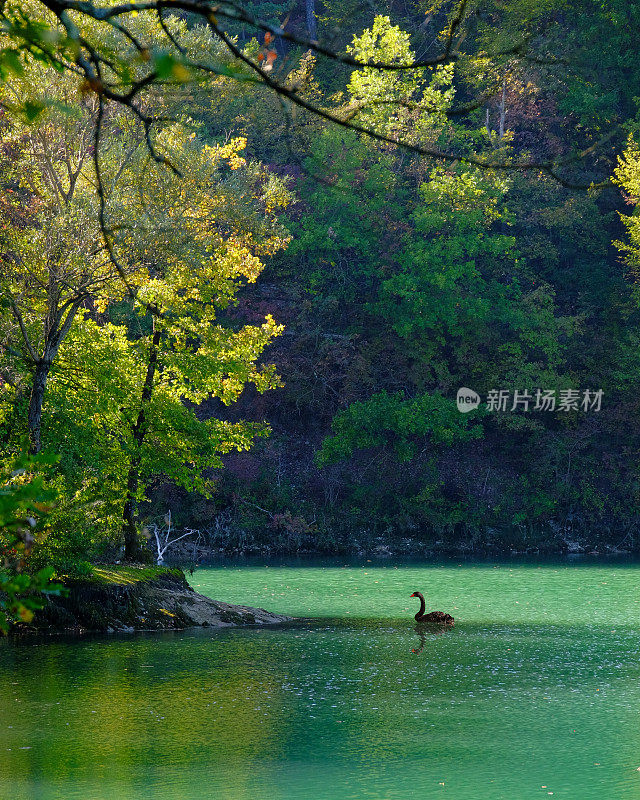 天鹅湖