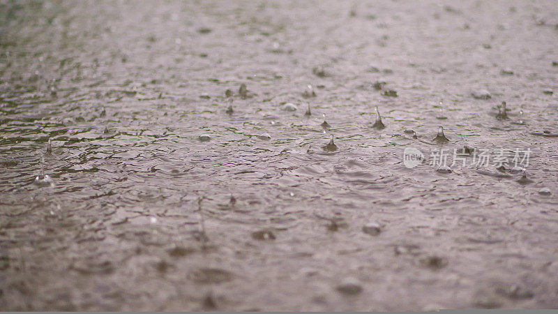 特写，大的，沉重的雨滴，降雨，阵雨，落在水花，水泡，在潮湿的表面水坑，水的表面。大滴的雨水从潮湿的地面纹理