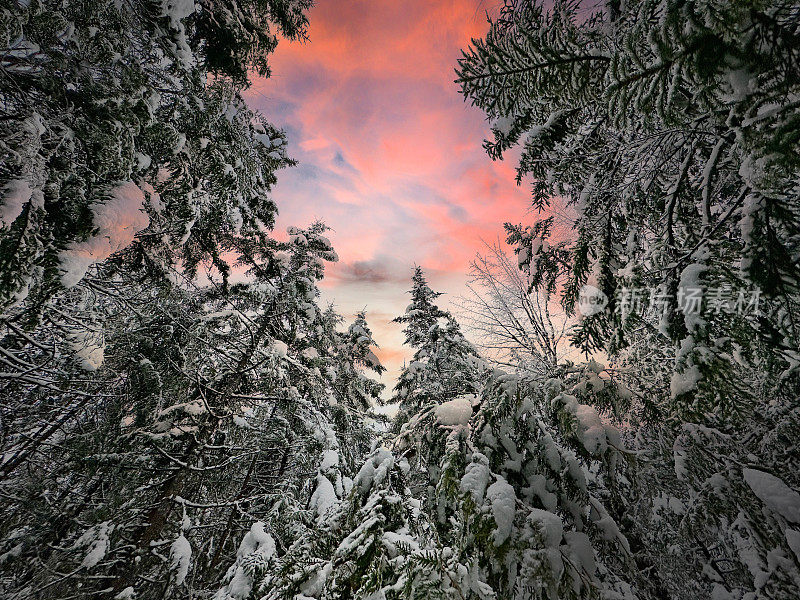 冬天，佛蒙特州的格林山