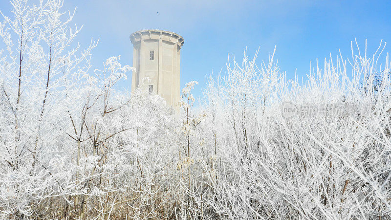 晴朗的冬季天空，高大的塔和覆盖着霜雪的植物-冬日景观