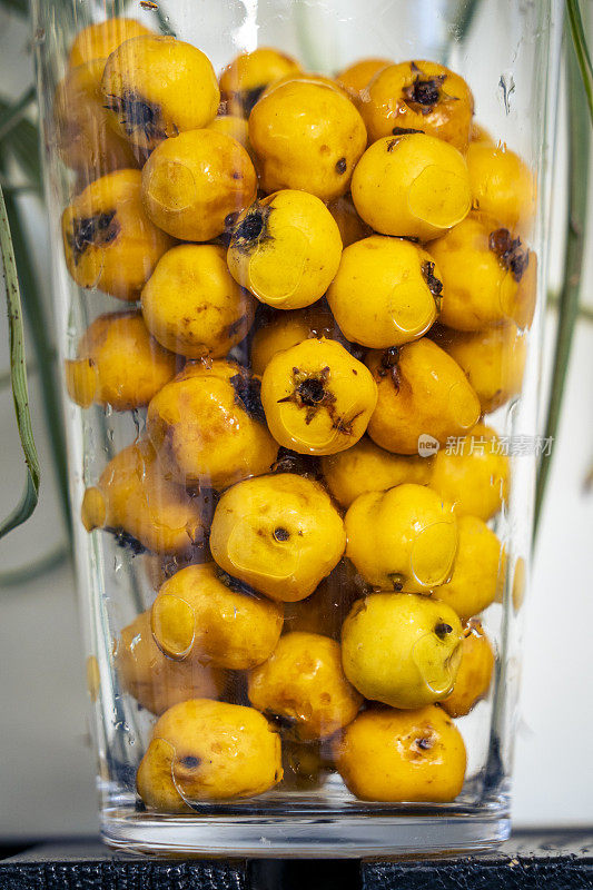 新鲜成熟的黄色山楂果