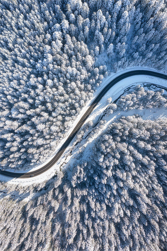 冬季道路和森林的鸟瞰图。从空中看冬季自然景观。冬天的严寒。森林和雪。无人机拍摄的风景。