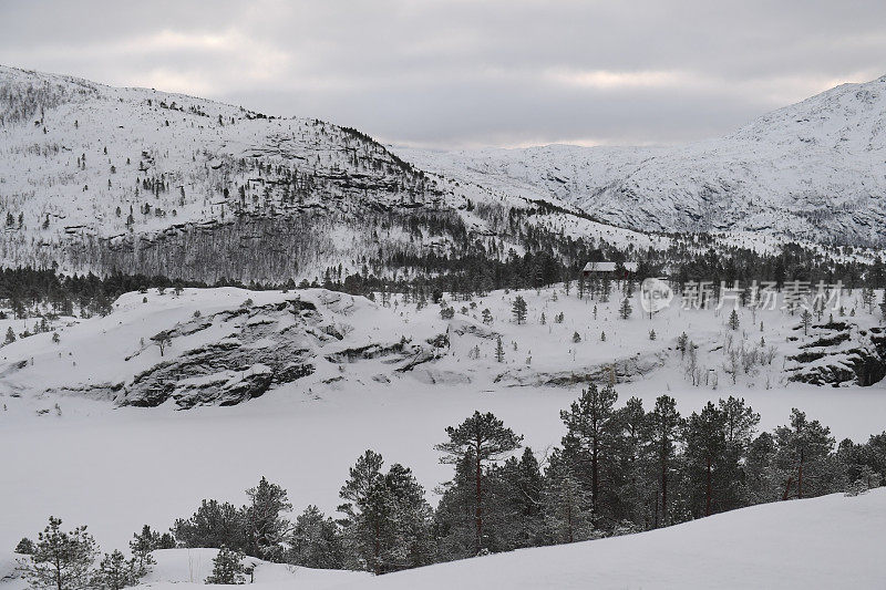 冬天的挪威北极