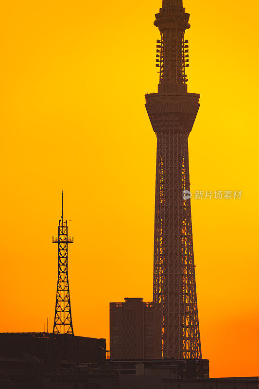 东京天空树的剪影和傍晚的东京市景