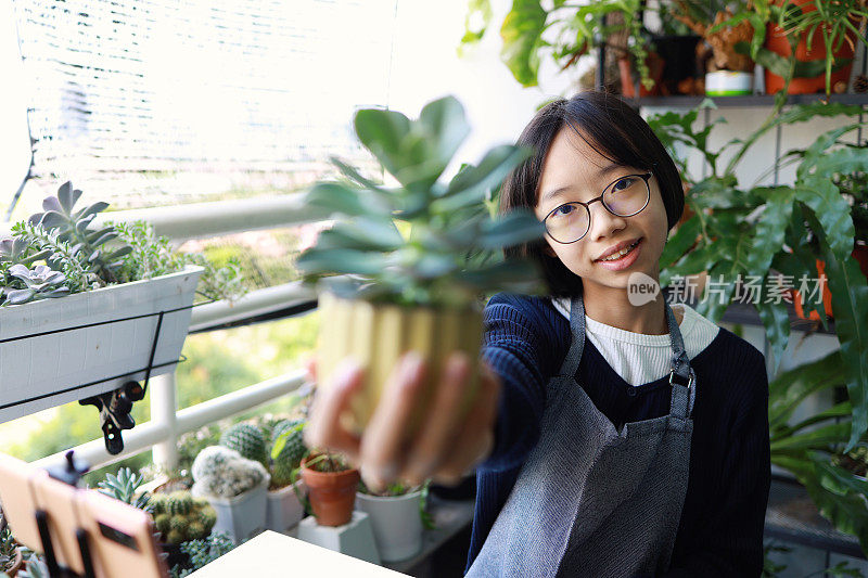 用现代技术为青少年制作视频博客。年轻的亚洲女孩展示她美丽的盆栽，微笑着看着相机，她在使用笔记本电脑和智能手机开始在线直播卖植物。